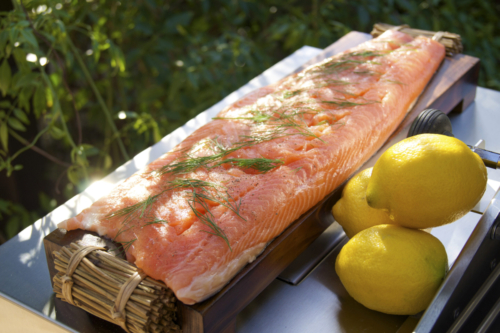 AOG_Food Lifestyle, Salmon