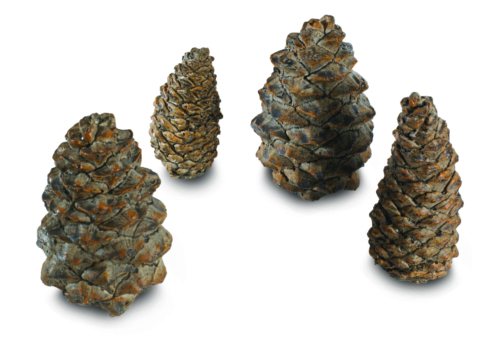 PC-4_Designer Pine Cones