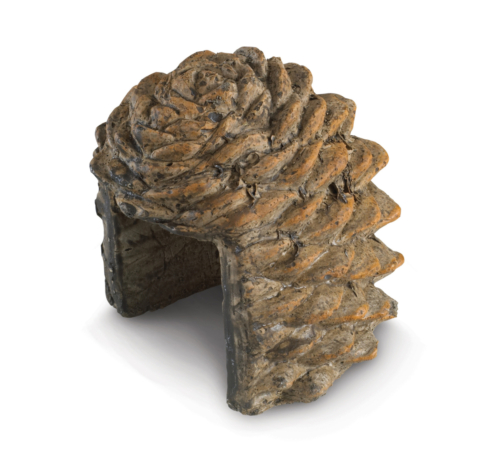 PCDC-1_Pine-Cone-Decor-Cover