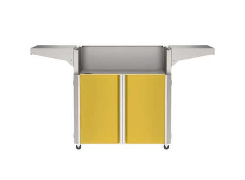 AOG CRT-30-TYW-2 30in-Door-Panels Torchlight-Yellow