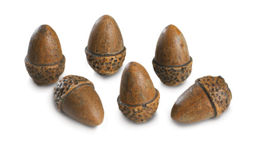 AC-6 Acorns